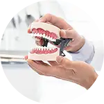 protesis dentales tratamiento